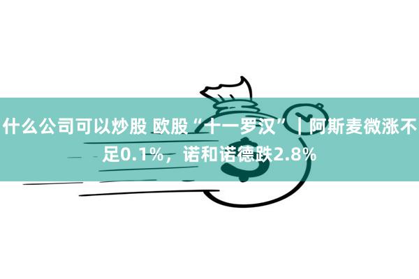 什么公司可以炒股 欧股“十一罗汉”｜阿斯麦微涨不足0.1%，诺和诺德跌2.8%