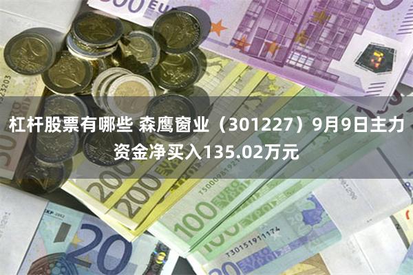 杠杆股票有哪些 森鹰窗业（301227）9月9日主力资金净买入135.02万元