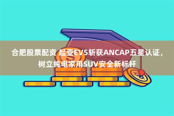 合肥股票配资 起亚EV5斩获ANCAP五星认证，树立纯电家用SUV安全新标杆