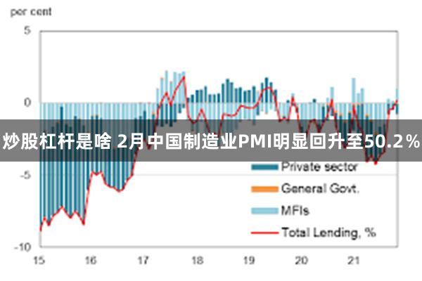 炒股杠杆是啥 2月中国制造业PMI明显回升至50.2％