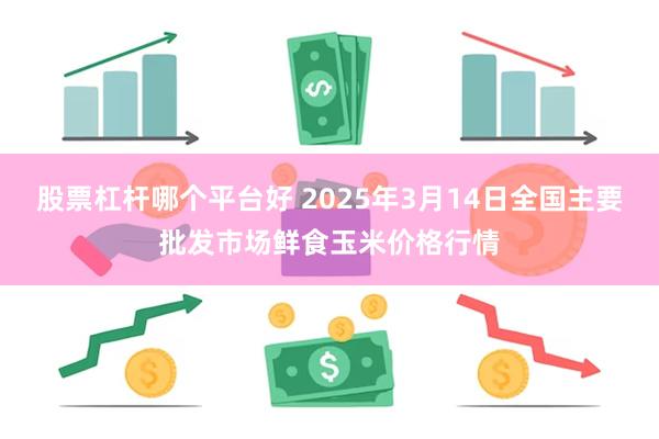 股票杠杆哪个平台好 2025年3月14日全国主要批发市场鲜食玉米价格行情